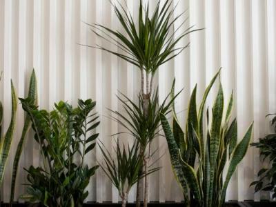 Best Western Premier Roosevelt - 42