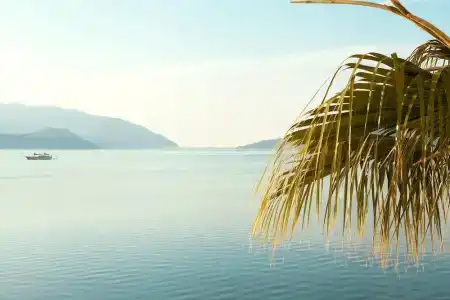 The Beachfront Adult Only 16 Plus - 18