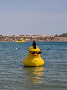 Xperience Golden Sandy Beach - 16