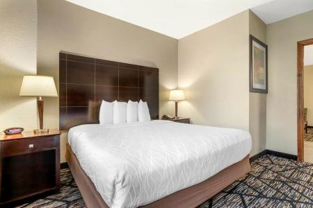 Best Western Plus Hobby Airport Inn Suites - 16