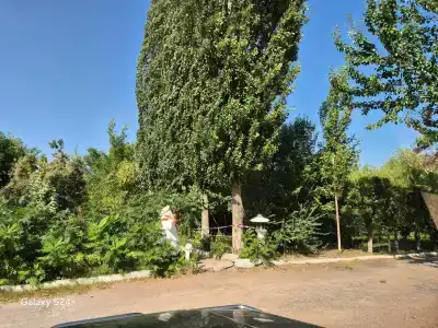 Nasha Buhta Tourist base - 6