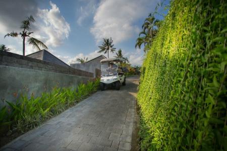 Alpin Resort and Villa Ubud - 17