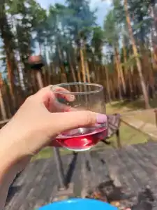 Березка - 77