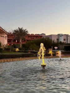 Parrotel Beach Resort - 22