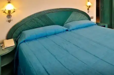 Kaktus Kaktus Albir - 62