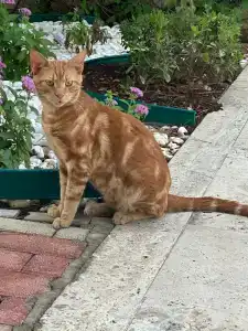 Club Marco Polo - Premium All Inclusive - 95