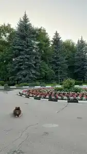 Nagornoe Holiday Home - 56