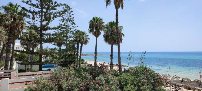 Royal Azur Thalassa - 29