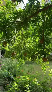 Sandy Beach - All Inclusive - 25