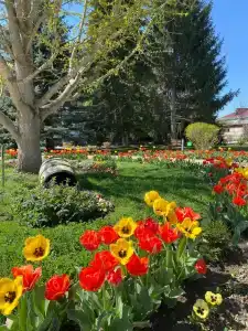 Rus Health Resort - 19