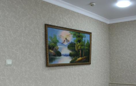 Complex Izumrud - 66