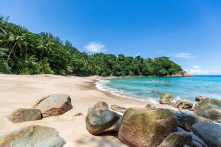 The Nice Patong - 10