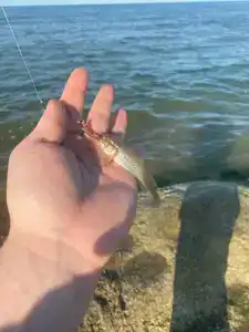 Santorini Family Club Plyazhnyy - 48