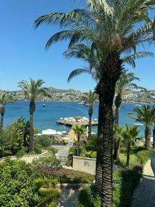 Baia Bodrum - 8