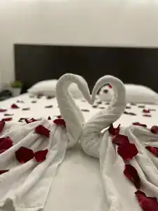 Viktoria - ZURO  - 38