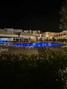 ЛетоoтеЛь - 81