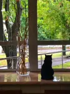 Luch Sports and complex - 30