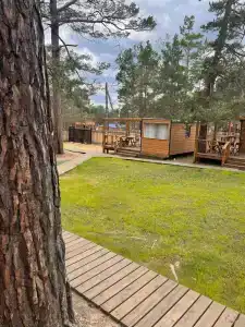 RestHouse - 39