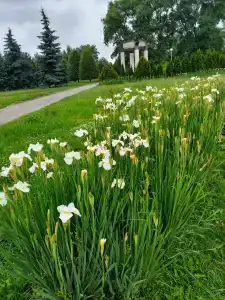 Беларусь - 38