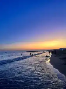 Calimera Hane Garden - 14