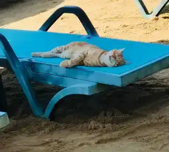 Green Bay Resort & Spa - 40