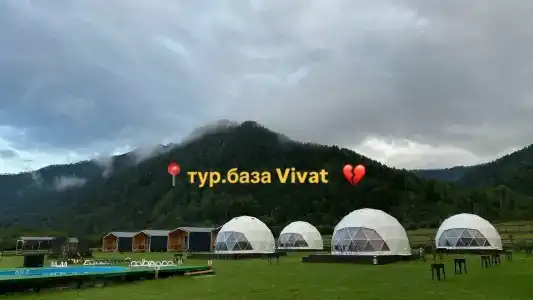 Vivat - 98