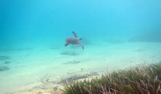 Dalyan Resort & Spa - 17