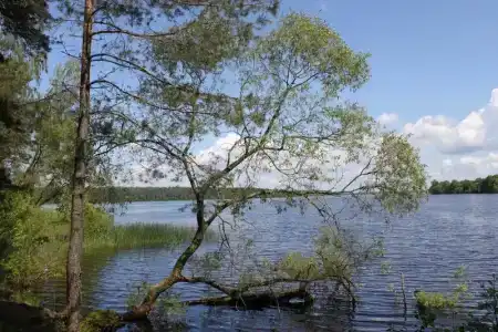 Recreation center SelyavaTur - 64