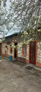 Snezhnyy Bars - 27