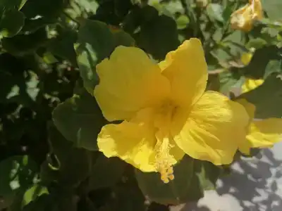 Beach Albatros Resort - 94