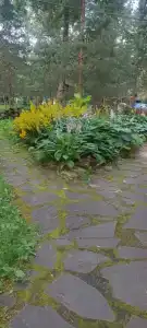 Plescheevo Recreation camp - 25