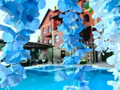 Anna Guest House - 4