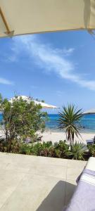 Royal Azur Thalassa - 44