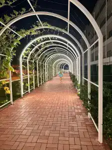 Gold Island Selected - 30