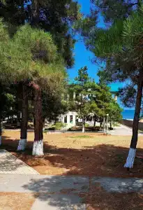 Morskaya Volna Guest house - 90