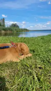 Urev Tourist base - 34