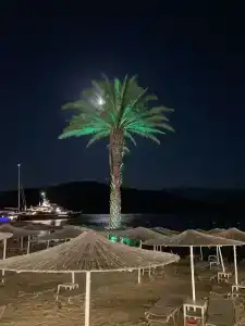 Green Bay Resort & Spa - 36