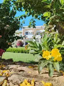 Club Reef Resort & Spa - 20