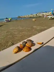 Tihaya gavan na kose Tourist base - 20