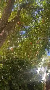 Aqua - All Inclusive - 64