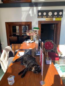 1207 Special Class - 49