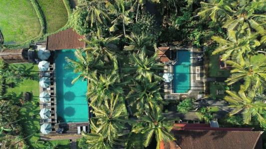 The Artini Dijiwa Ubud - 26