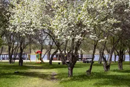 Solnechny Ostrov Tourist base - 28