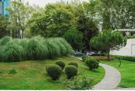 Baunti Guest house - 25