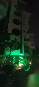 Kaila Krizantem - 64