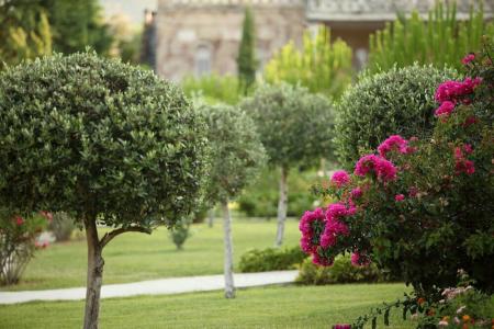 Sikyon Coast and Resort - 9