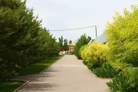 Kapchik kz Tourist base - 23