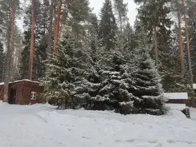 Черепашьи Озёра - 15