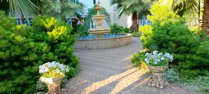 Im. Chelyuskintsev Sanatorium - 17