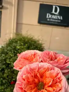 Domina St.Petersburg - 63